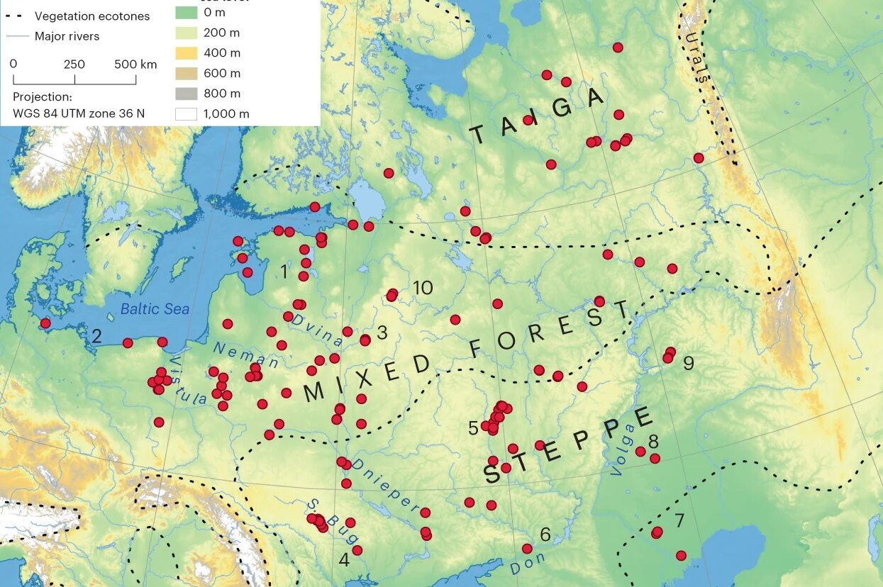 8000 лет назад гончарное ремесло стремительно распространилось в Европе