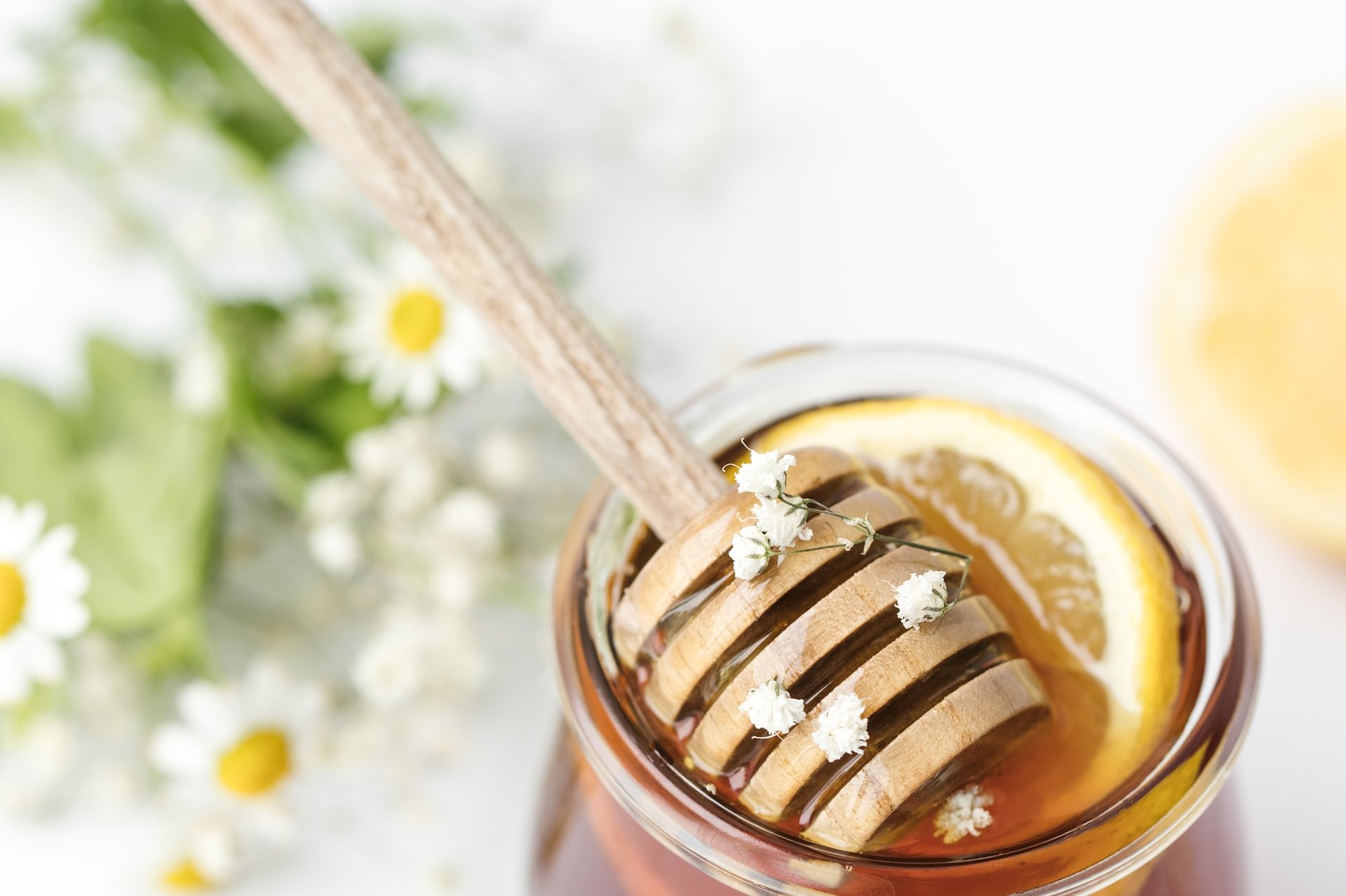 В России стали продавать мед из борщевика. Не вредно ли это