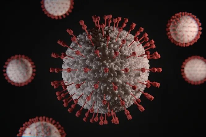Новая волна пандемии: варианты коронавируса Omicron BA.4 и BA.5