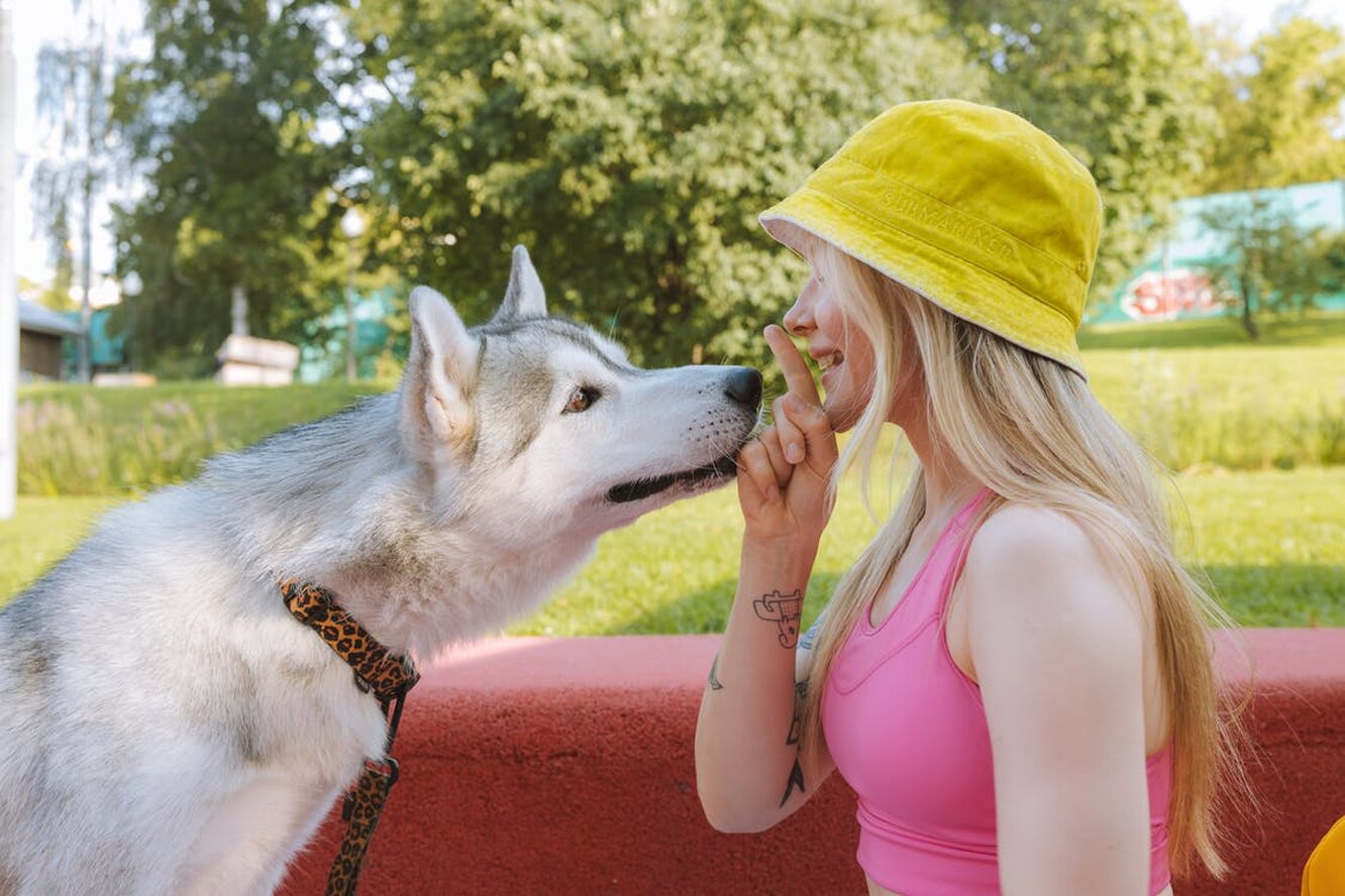 Ни запаха, ни шерсти: 10 пород собак, подходящих для людей с чувствительным носом