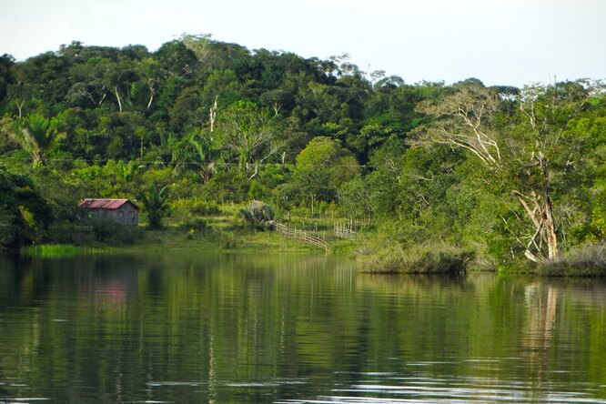 Амазонка как лаборатория: что ученые увидят из космоса