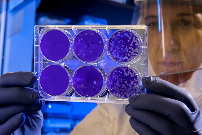 Новый антибиотик нацеливается на рибосомы и побеждает резистентные бактерии