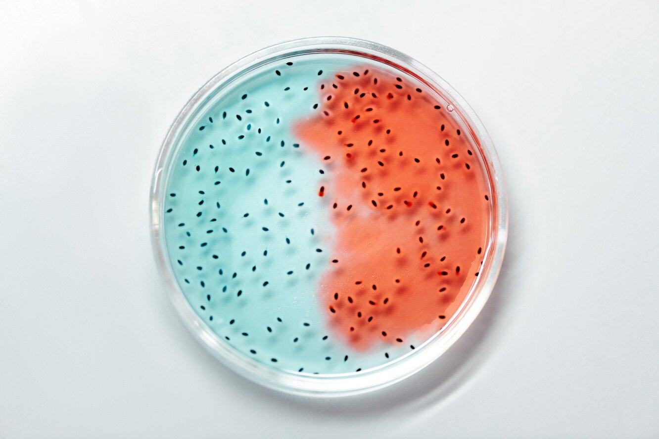 Кишечные бактерии намного важнее, чем нам кажется: 4 факта о нашем микробиоме