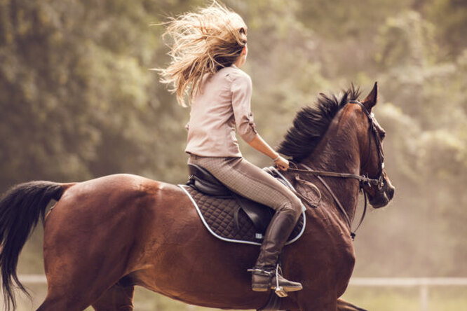 3 причины, почему женщины так любят лошадей