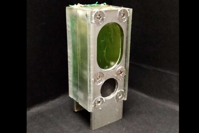 Аккумулятор из водорослей и подгузники с Bluetooth: главные новости сегодня