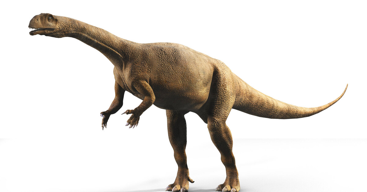 динозавры где живут и чем питаются. аллозавр динозавр. тетраподы динозавры. какой ученый динозавры. опасные динозавры.