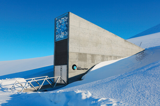 Хранить вечно: что из себя представляет всемирное семенохранилище на Шпицбергене