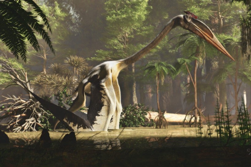 Quetzalcoatlus: самое большое летающее животное на Земле могло прыгать более чем на 2 метра в высоту