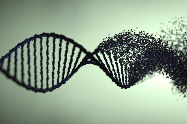 Мусорная ДНК в наших геномах может быть очень важна  вот для чего она нужна