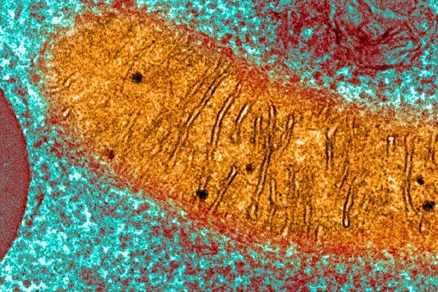 Почему вся жизнь на Земле использует в качестве источника энергии специфическую молекулу